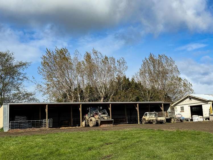 473 Clifden Gorge Road Eastern Bush_23