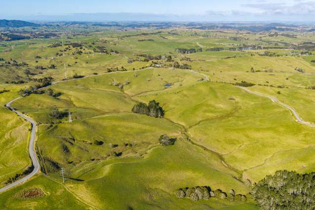 A versatile Northland grazing opportunity
