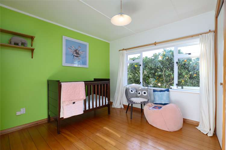 40 Todd Bush Road Todds Valley_10