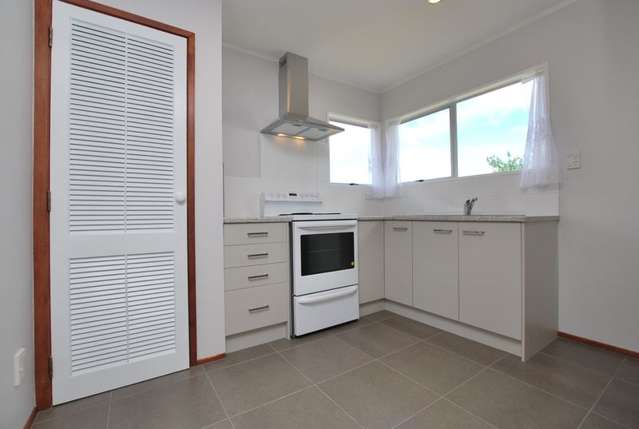 31b Marion Avenue Mount Roskill_1