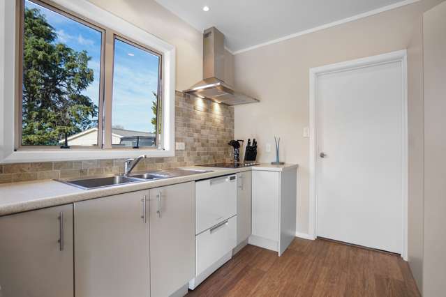 28 Osborne Avenue Morrinsville_1