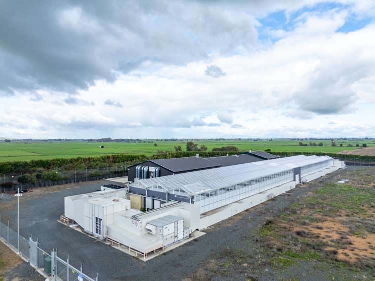 109A/B Reay & Watson Road Tauhei_3