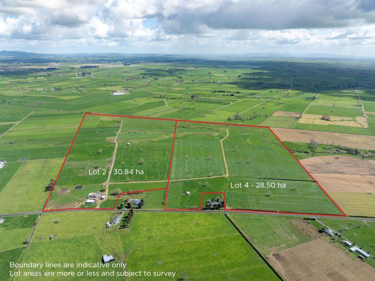 353 Maiseys Road, Waharoa Matamata_19