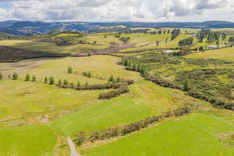 96 Daroux Road Kerikeri_11