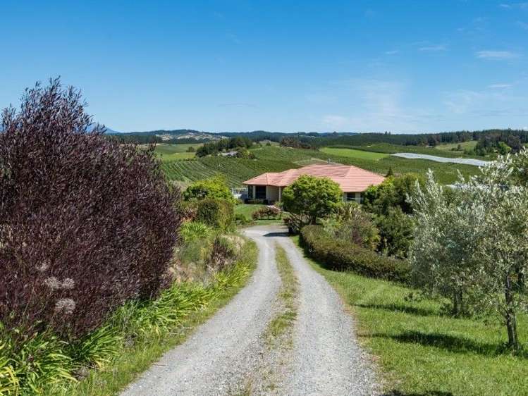 74 Dawson Road Upper Moutere_19