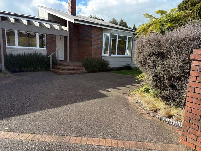 3 Bailey Avenue Claudelands_2