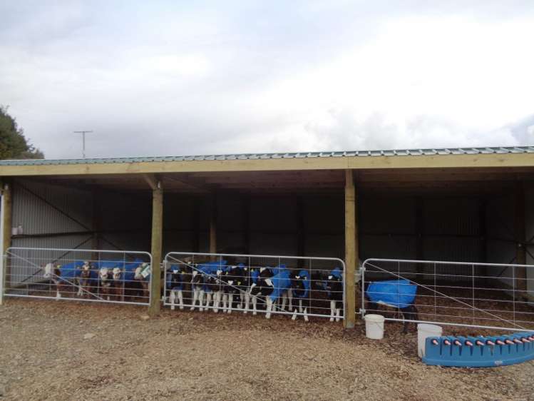 667 Stanley Road Wainui_10