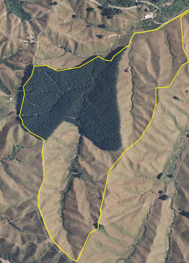 223 Rose Road Upper Moutere_13