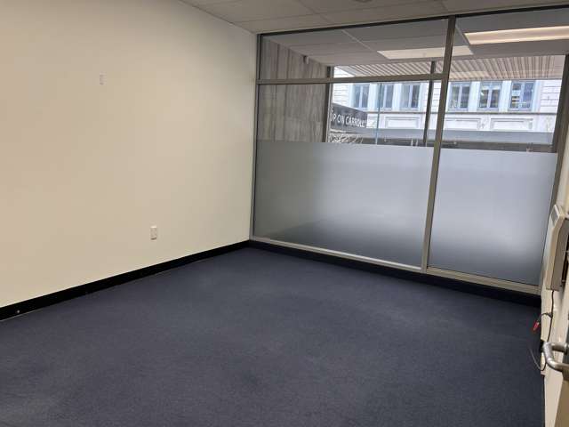 155 Princes Street Dunedin Central_2