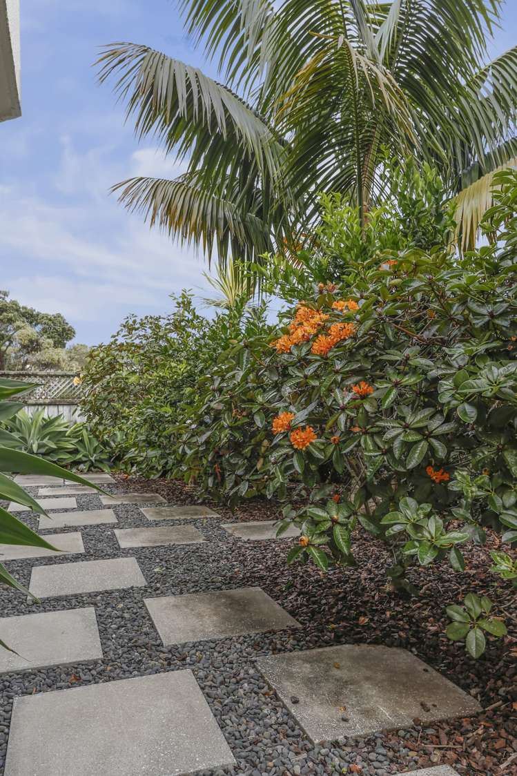 83a Edmund Street Saint Heliers_4