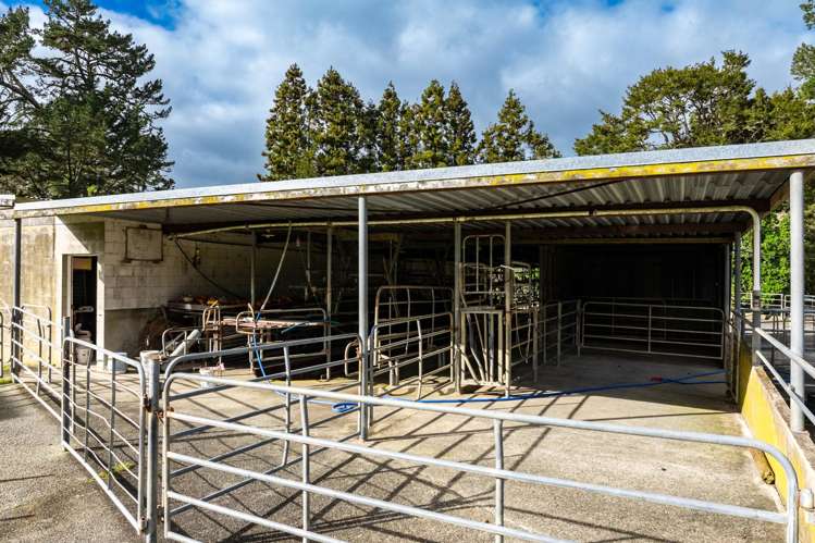 348 Tauraroa Road Maungakaramea_7