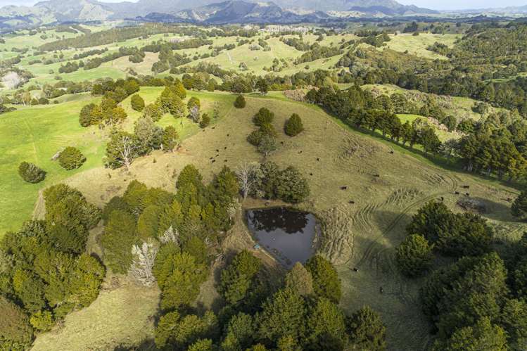 203 Otuhi Road Mangapai and Surrounds_9