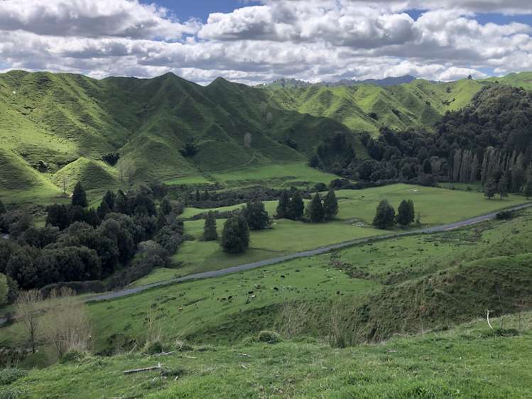 1041 Paparoa Road Whanganui National Park_26