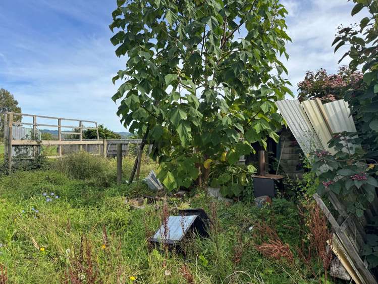 36 Tuhoe Street Taneatua_9