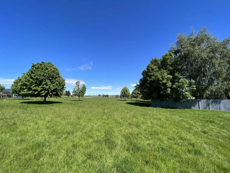 Station Road Tapanui_5