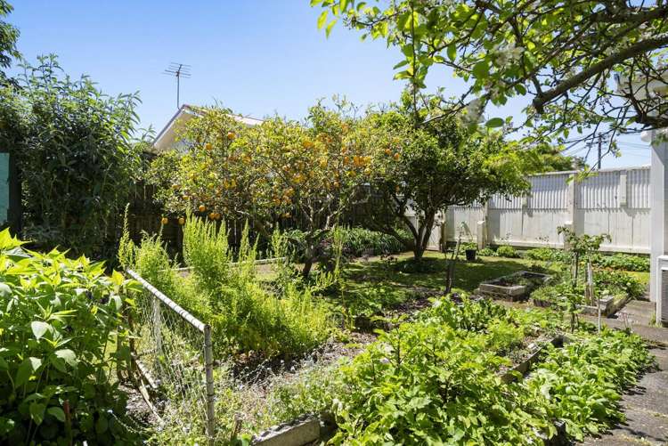 10 French Street Moturoa_21