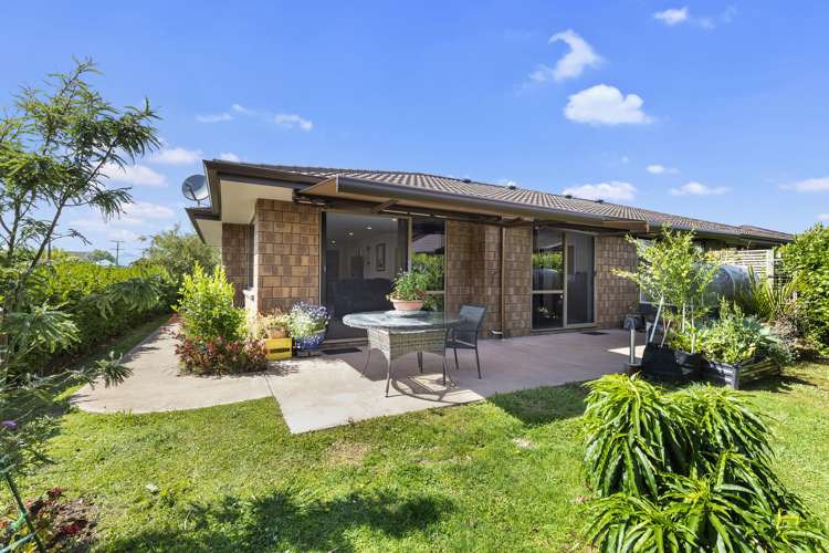 5/29 Terminus Street Te Aroha_0