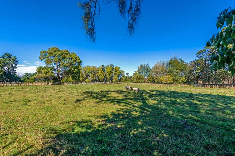 39 Old Kips Road Ashhurst_21