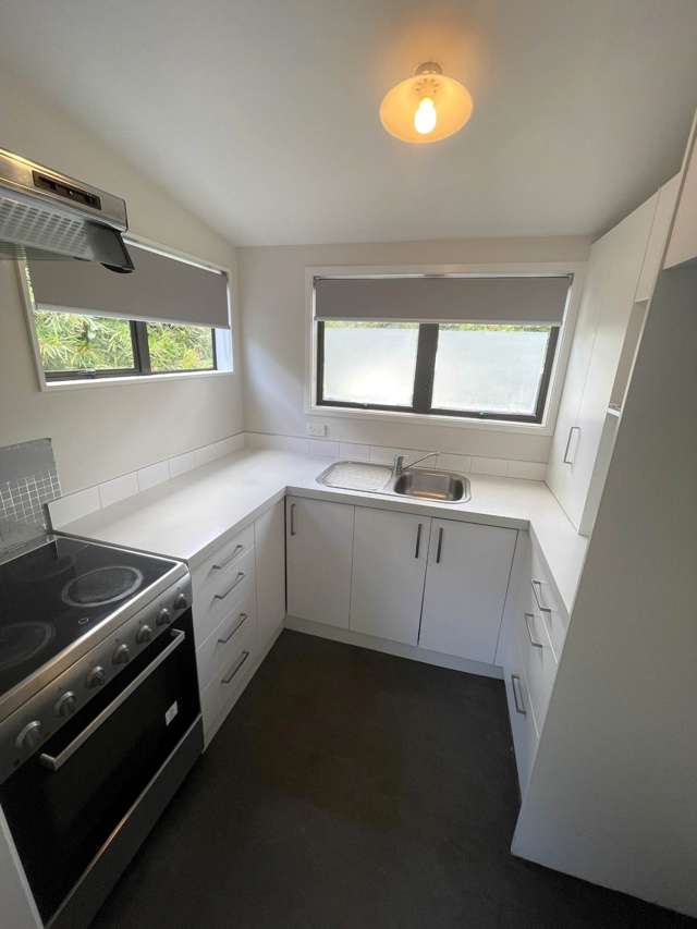 526A Mount Albert Road Mt Roskill_4