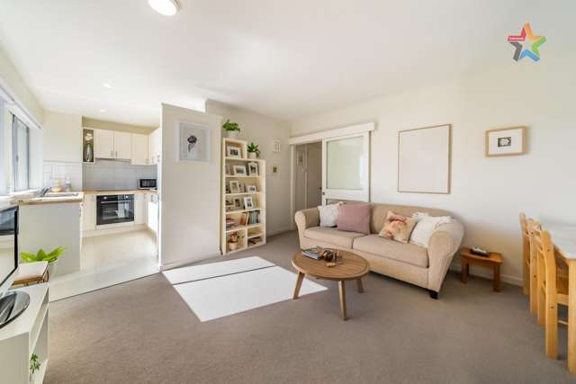 9A/19 Cottleville Terrace Thorndon_4