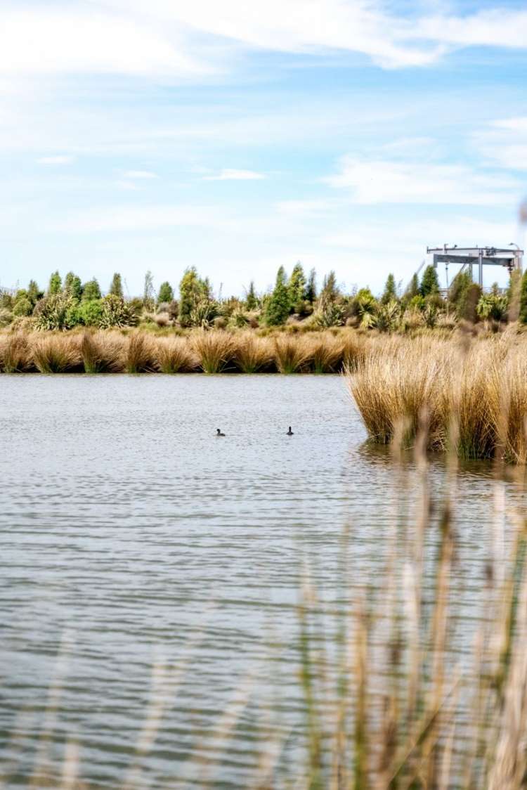 47 Te Raki Drive Lincoln_25