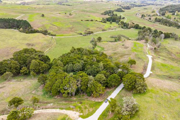 Whakapirau Road Maungaturoto_40