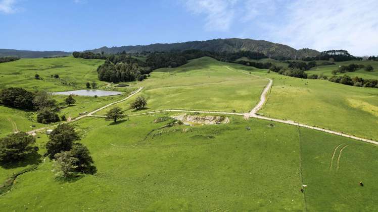 2051 Paparoa-Oakleigh Road Taipuha_2