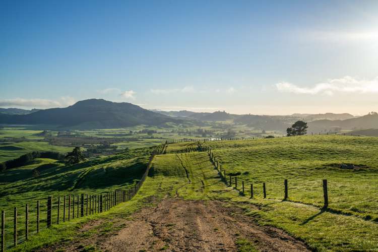 1274 Poihipi Road Oruanui_17