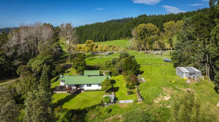 888 Kakariki Farm Road Kotemaori_27