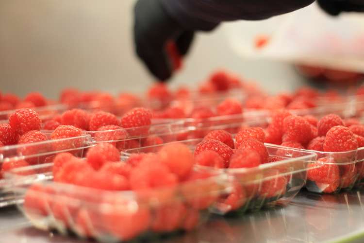 162 Pukeatua Road Maungatapere_20