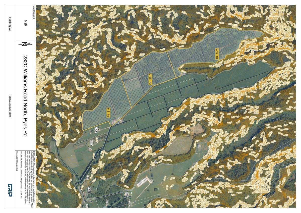 232C Williams Road North_3