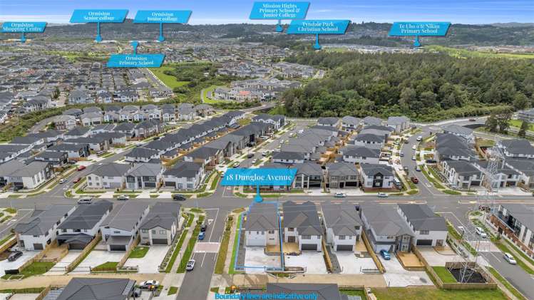 18 Dungloe Avenue Flat Bush_30