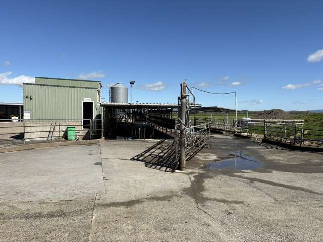 136 Pipiroa Road Ngatea_3