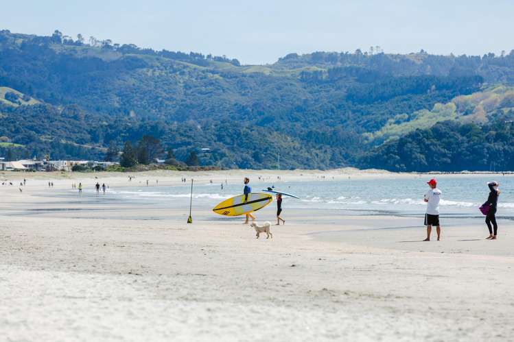 245 Matakana Road Warkworth_16