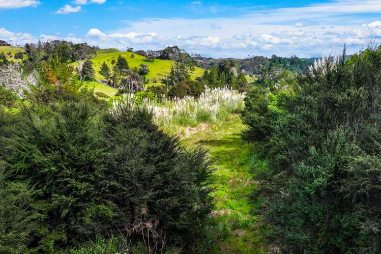 Lot 3 Radiata Road Warkworth_13