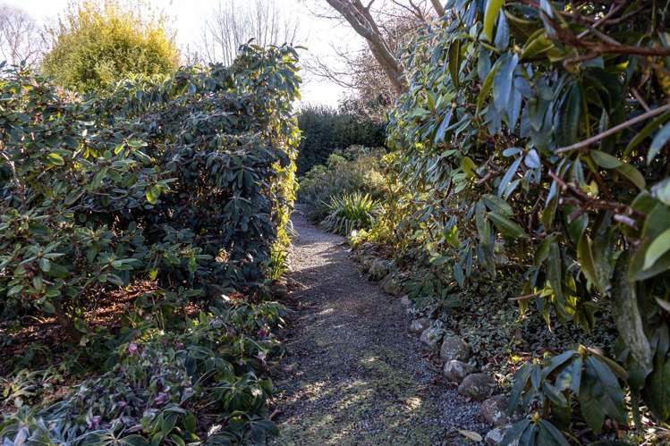 24 Woodbury Road Geraldine_21