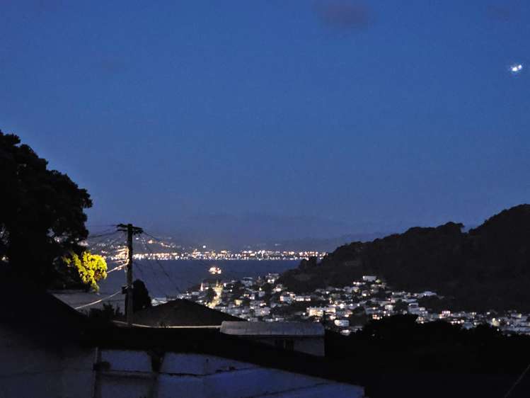 22 Coolidge Street Brooklyn_9