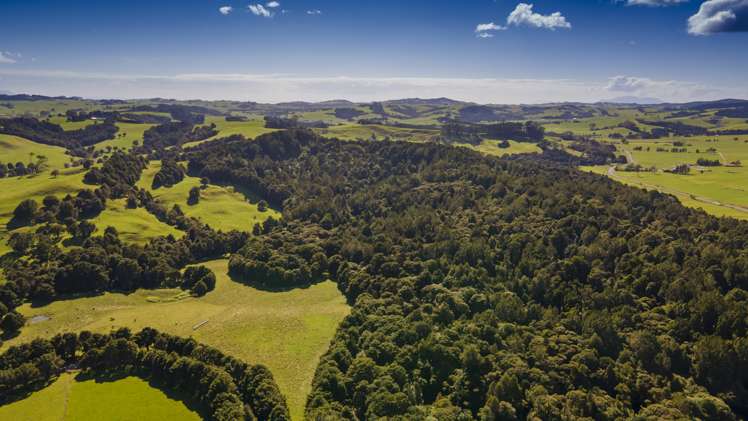 173 Day Road Wellsford_24