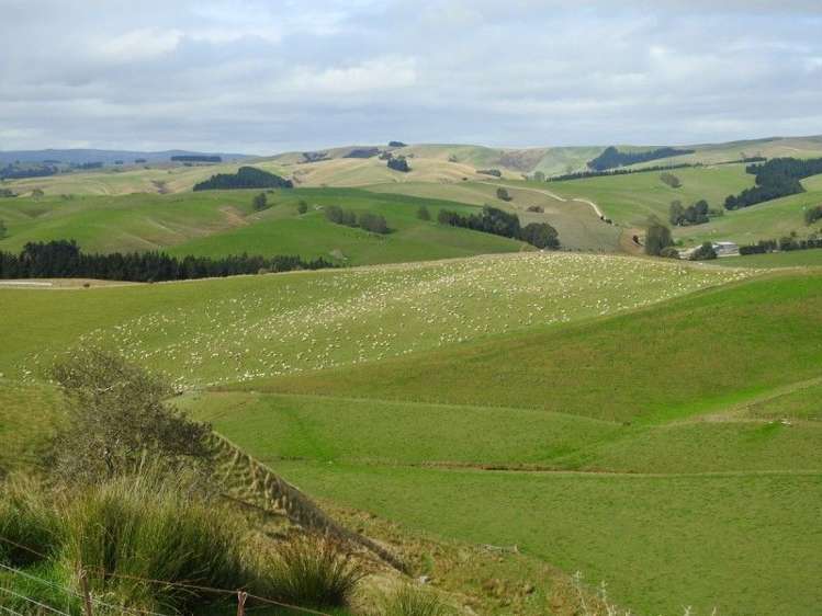 108 Mill View Road Lawrence_3