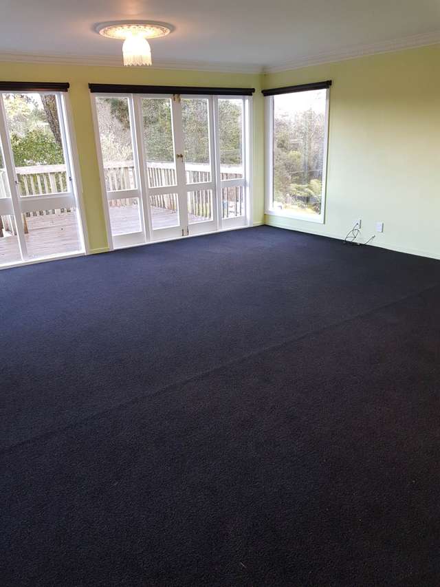 212 Pine Valley Road Dairy Flat_2