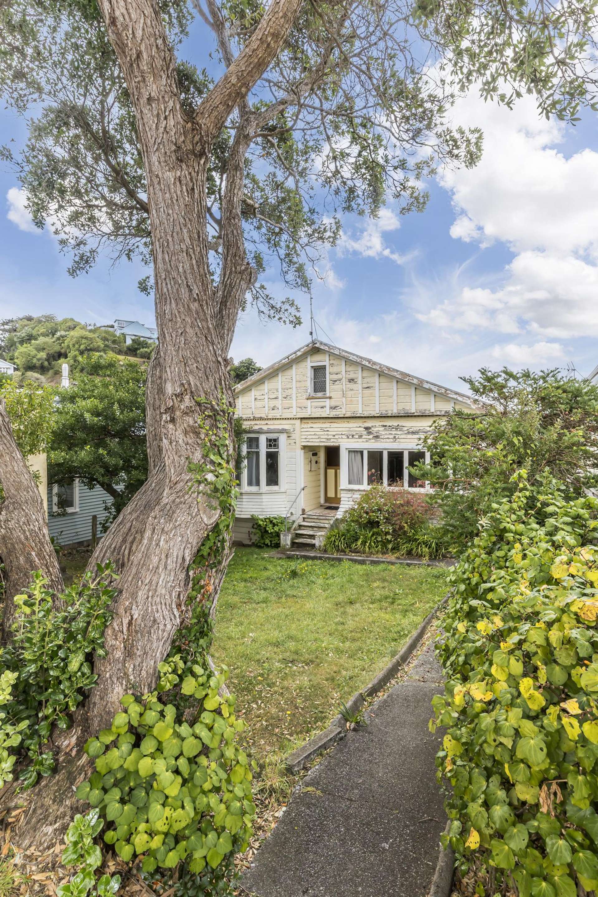 3 Matai Road Hataitai_0
