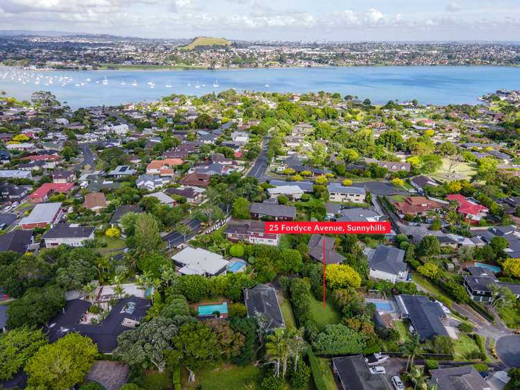 25 Fordyce Avenue Sunnyhills_8