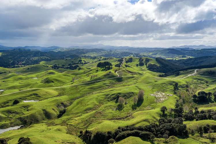 1550 Glenora Road Akitio_30