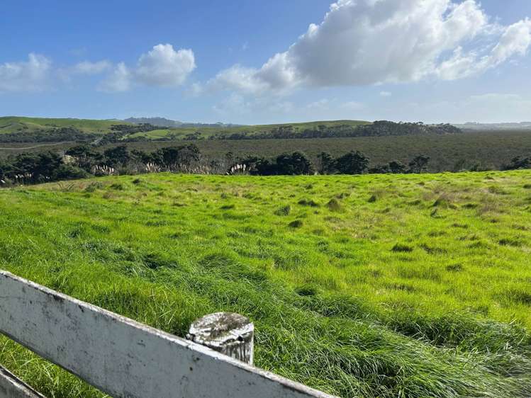 544 South Head Road South Head_16