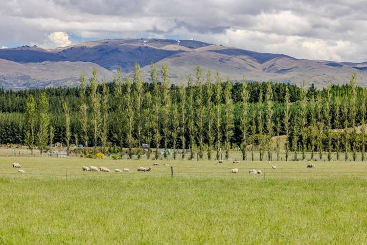 51 Grayburn Lane Lake Hawea_8