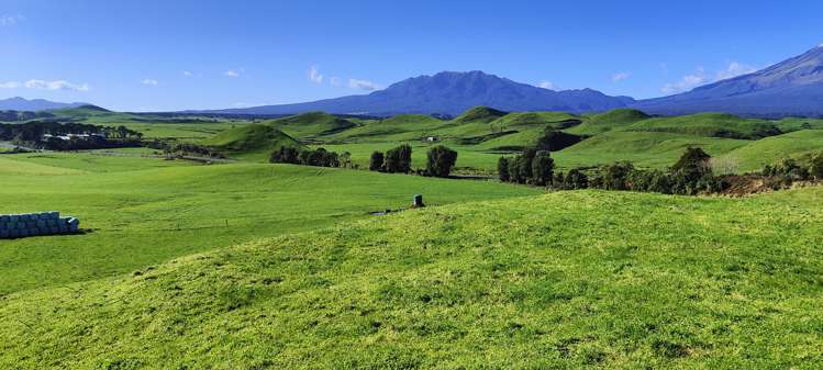 Parihaka Road Pungarehu_10