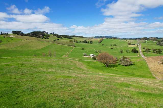 Morrison Road Dargaville_2