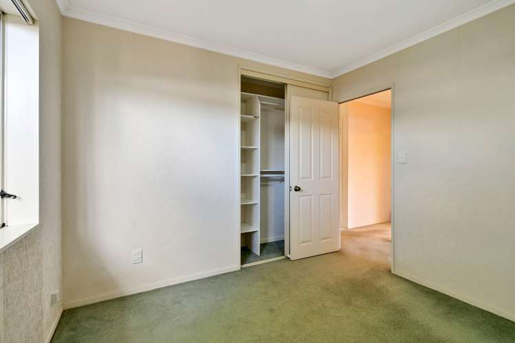 29a Riversdale Road Avondale_12