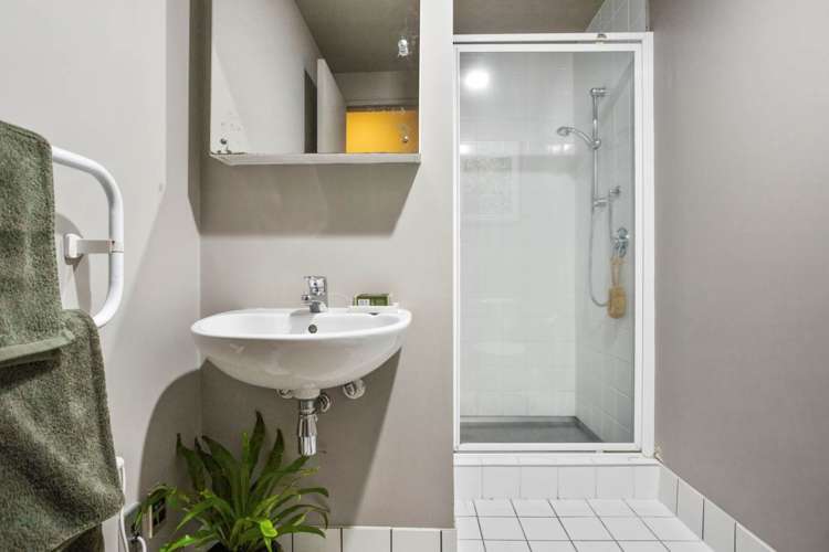 6/21 Williamson Avenue Grey Lynn_9