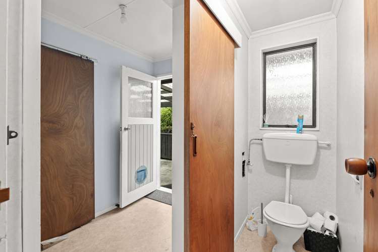 7 Pain Street Bulls_12